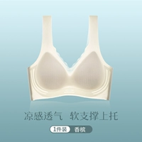 【Жилет】 шампанское