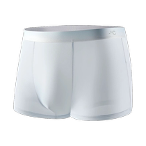 Ice Silk Mens Underwear Boys Seamless Antibacterial Boxer Briefs Mens Summer Thin New Breathable Boxer Shorts