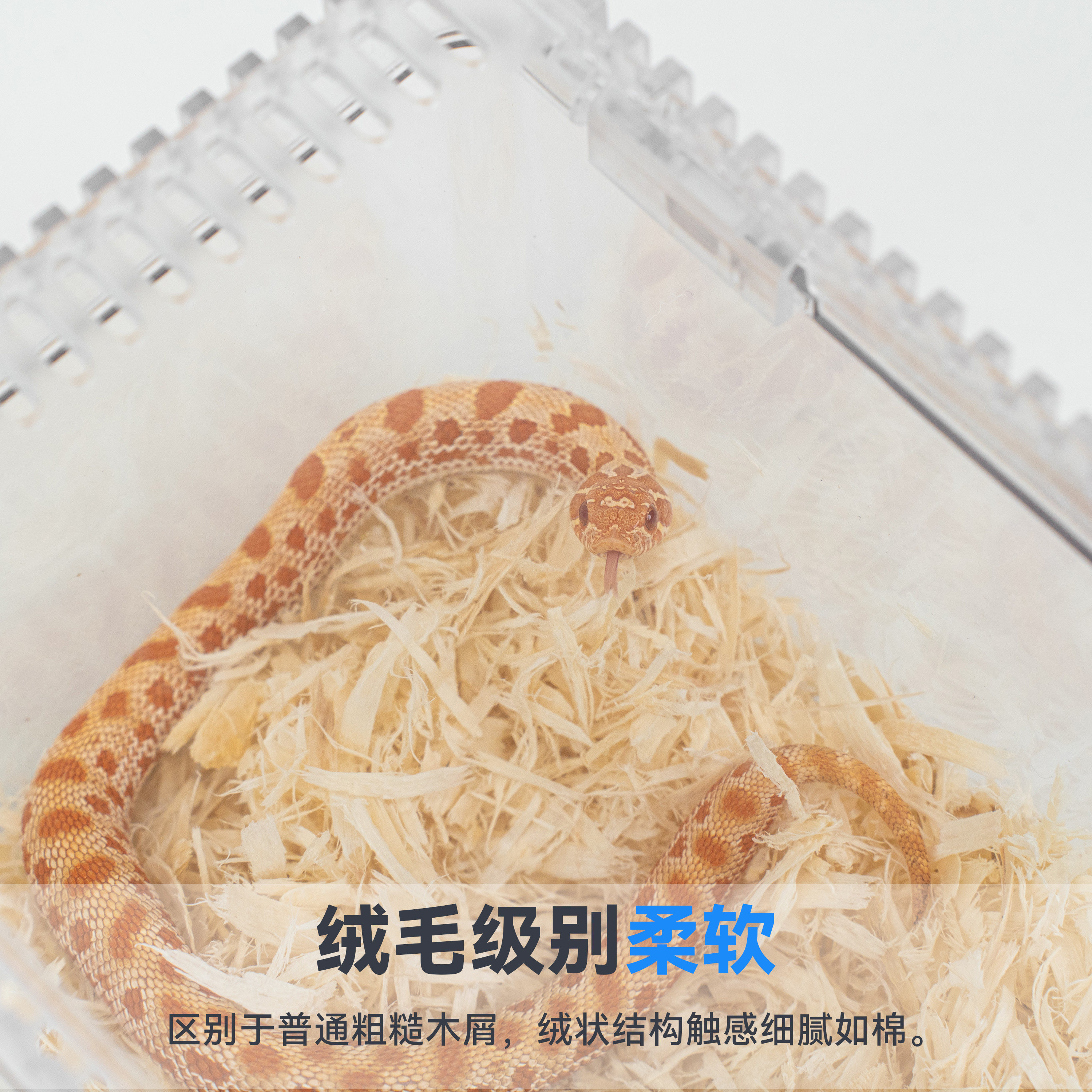 达芬奇黑洞白杨木绒木屑蛇用仓鼠龙猫兔子木屑动物冬眠保温垫料 detail 2