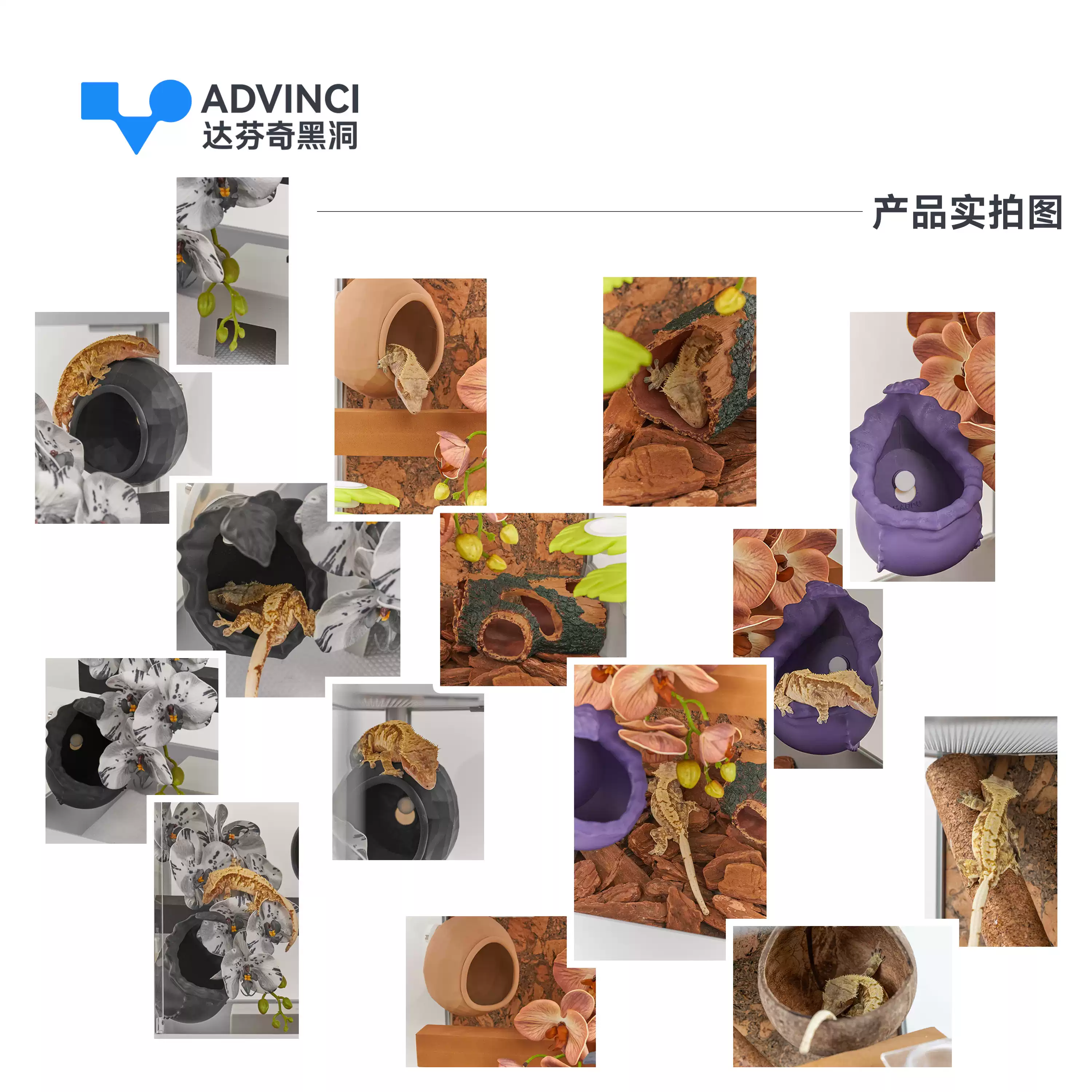 达芬奇黑洞 太阳pro睫角守宫饲养箱套装盖勾亚爬宠饲养盒造景缸 detail 5