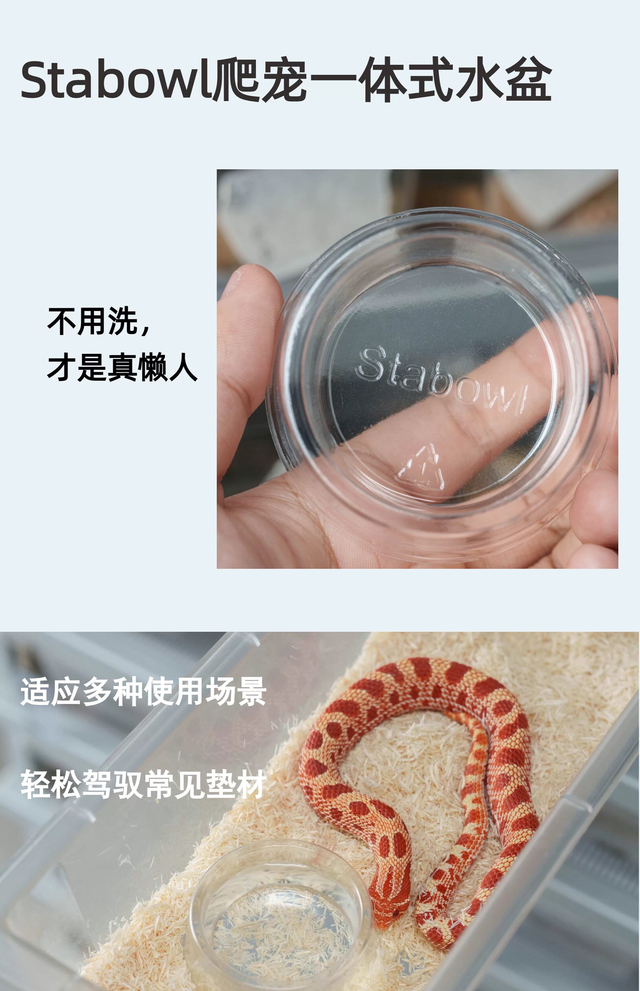 [达芬奇严选] 爬宠水盆懒人水盆 蛇类守宫蜥蜴 detail 1