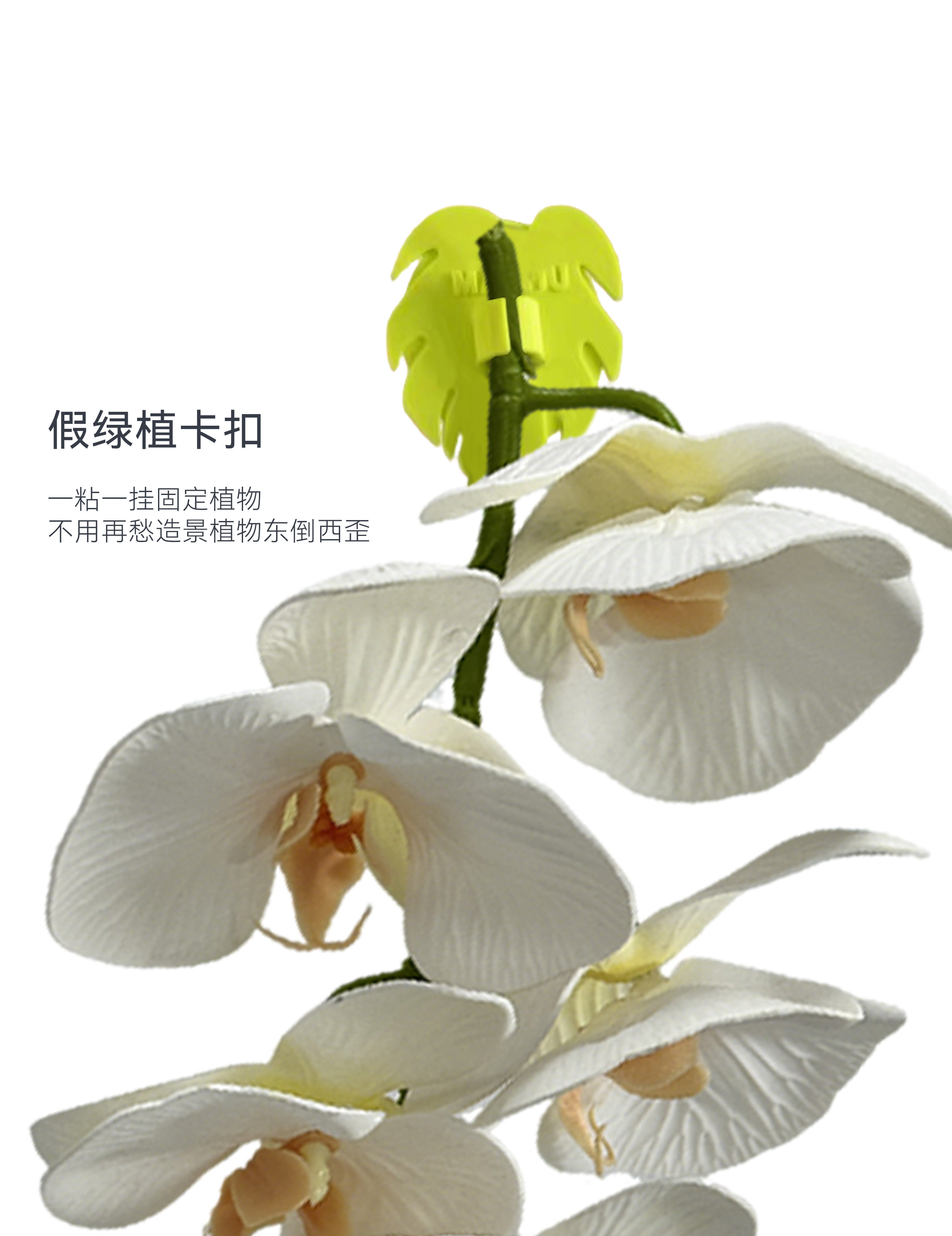 达芬奇黑洞 太阳Pro爬箱背景板攀爬棒躲避水盆睫角守宫造景套装 detail 16