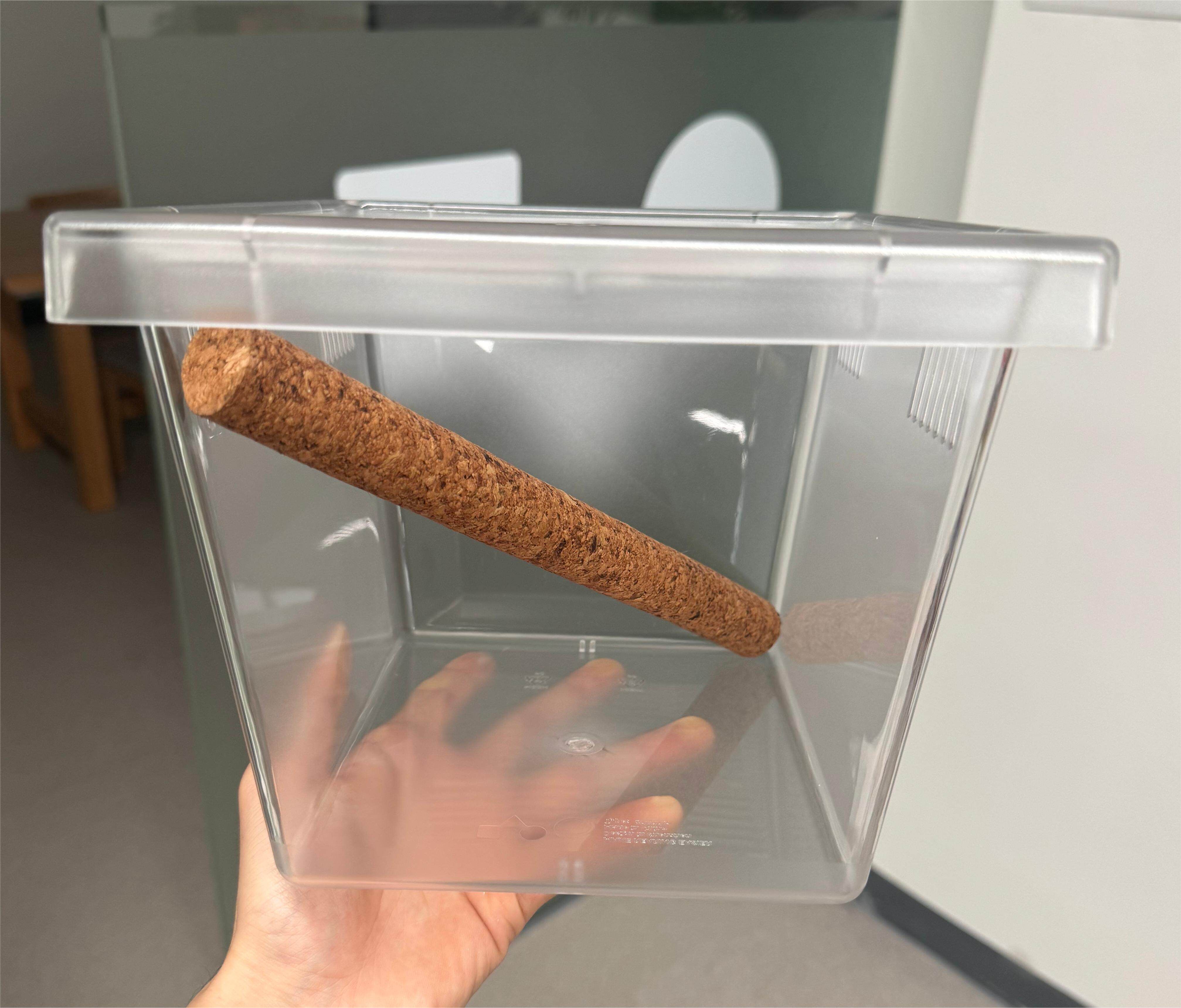 达芬奇黑洞爬宠睫角巨人造景攀爬软木棒变色龙盖勾压熟悉守宫攀爬 detail 2