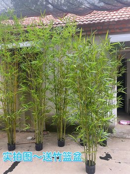 Simulated bamboo interior decoration fake bamboo partition screen retaining wall engagement banquet decoration bamboo potted plant encrypted green plants