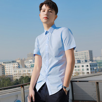 Summer slim fit male short sleeve shirt business career frock pure blue lining work to work half sleeve inch fir tide