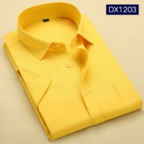 Summer Short Sleeve Shirt Male Pure Yellow Business Career Tooling Shirt Man Thin to work with half sleeve inch fir