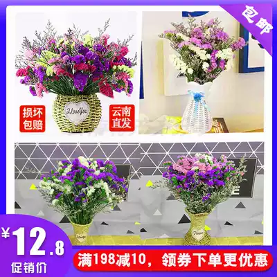Yunnan dry flower forget-me-not true flower lover grass bouquet home decoration natural flowers fresh flower arrangement living room decoration