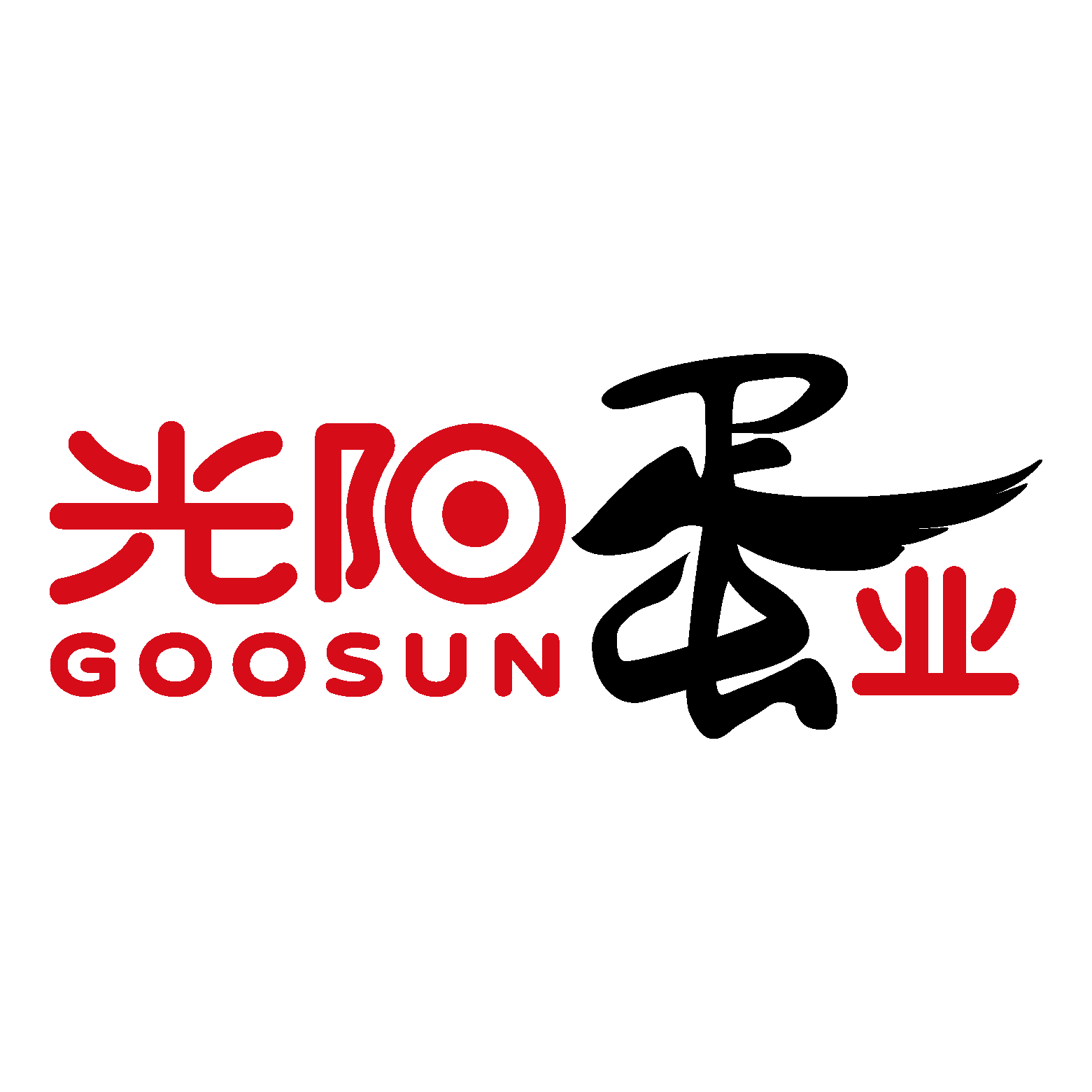 光阳旗舰店