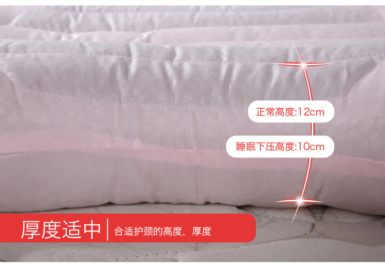 Cruise Cassia Pillow 10.jpg