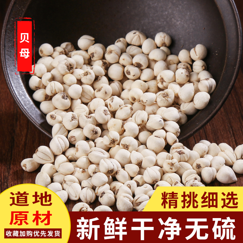 Chinese herbal medicine Fritillaria Fritillariae 10g top grade Huaizhong Baoyue Bozhou market batch quality Chinese herbal medicine store Songchuan Fritillaria