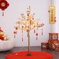 1,2 метра денежного дерева