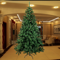 Christmas 1 8 m Christmas Tree Luxury Encryption Green Christmas Tree 180CM Naked Tree Christmas Family Decorations