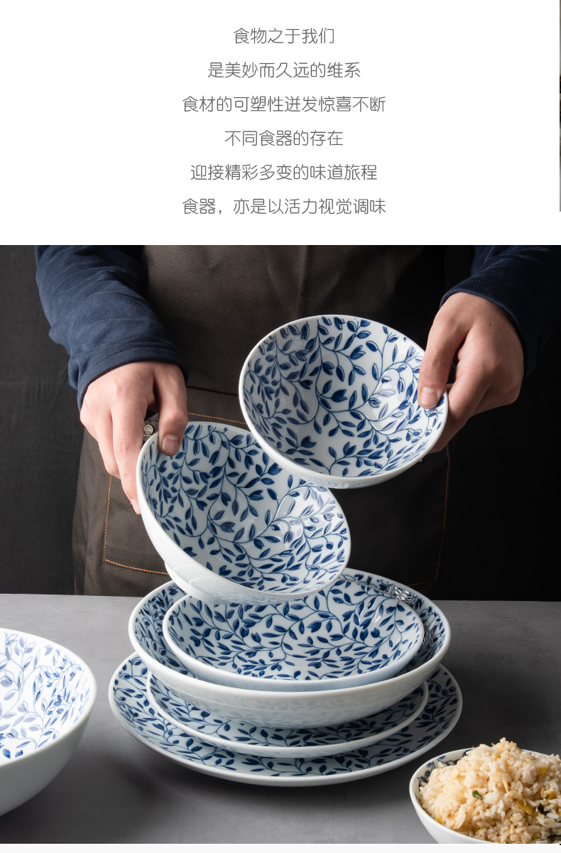 Japanese household food dish dehua white porcelain tableware platter maple ceramic bowl fish disk to use steak dishes dishes