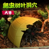 Маленькие домашние домашние животные, чтобы избежать пещерной охраны