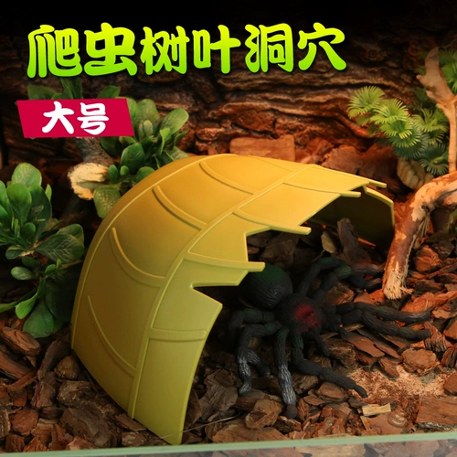 Маленькие домашние домашние животные, чтобы избежать пещерной охраны