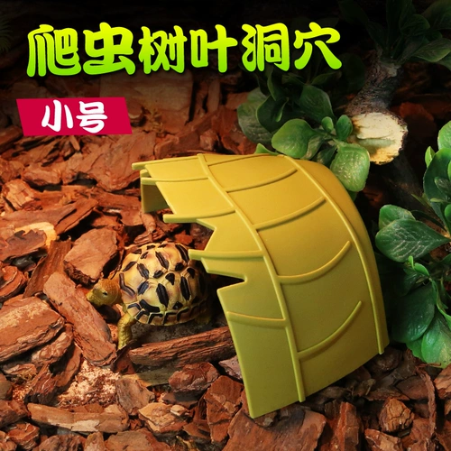 Маленькие домашние домашние животные, чтобы избежать пещерной охраны