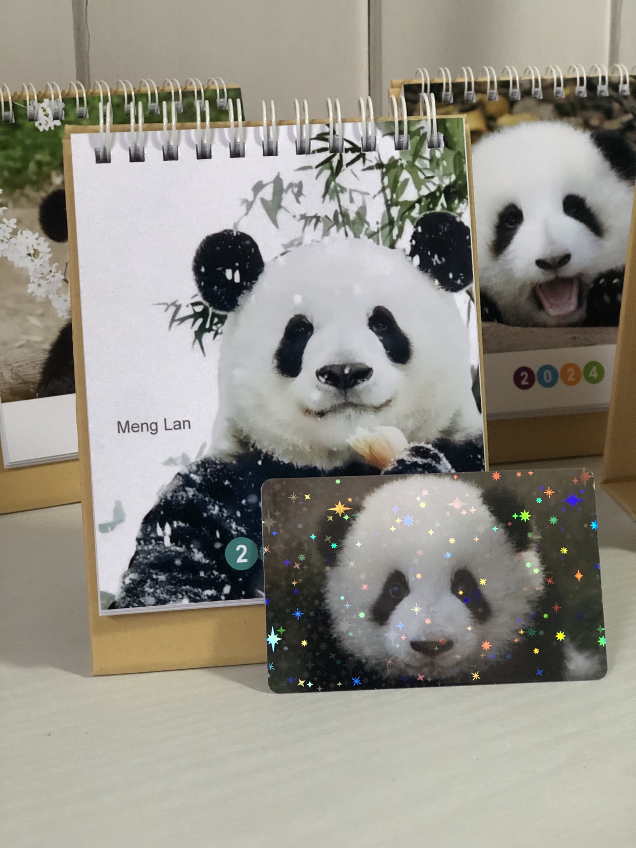 2024 New panda Terri Flower Meng Lan Fubao Flying Cloud Seven Tsai Cute Two Fat Sea Yu Love Desk Calendar-Taobao