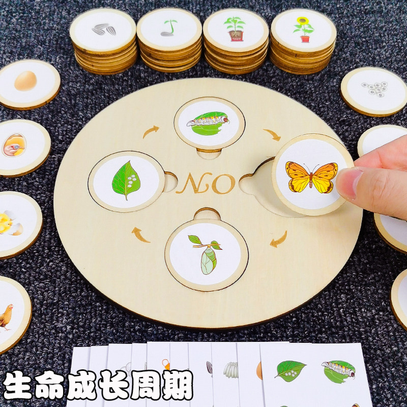 Montessori teaching aids life cycle jigsaw puzzle kindergarten small and medium class puzzle area toys large class science area put materials