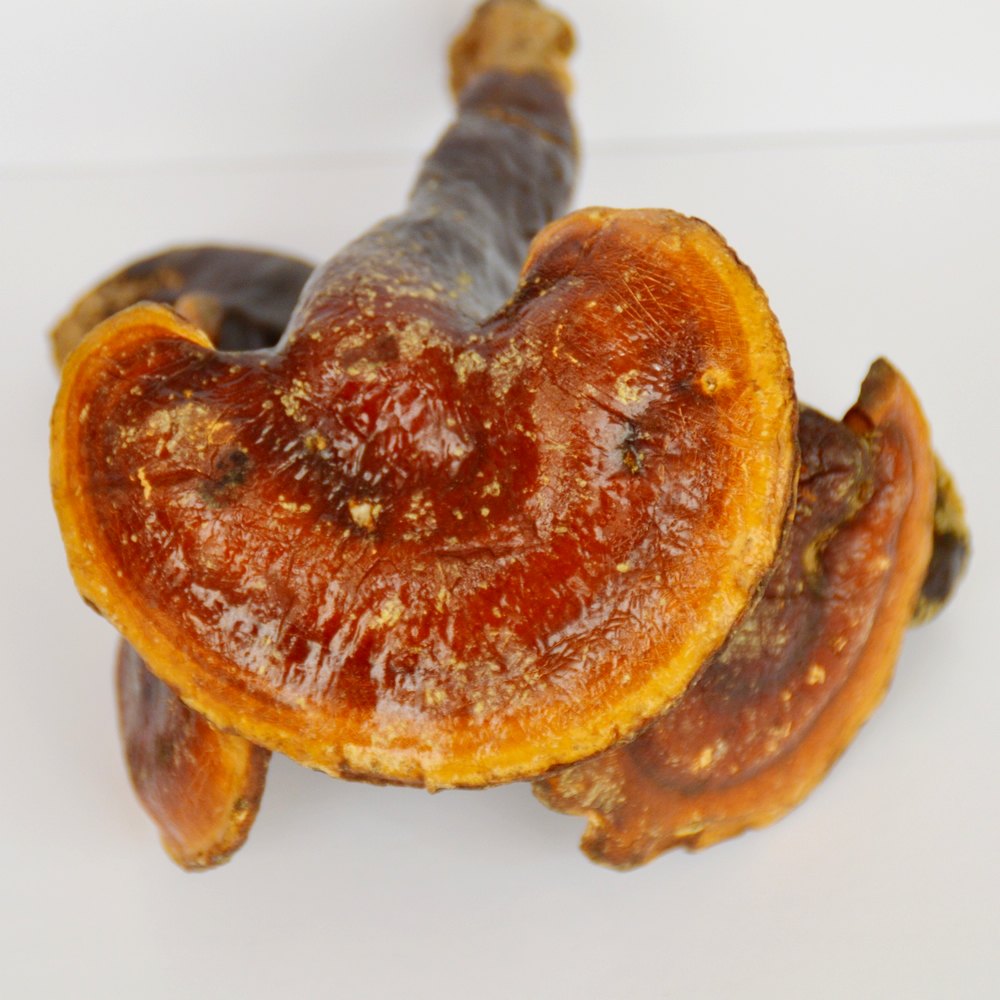 Yunnan precious medicinal material plateau deep mountain specialty wild red ganoderma lucidum 100 gram jinbian ganoderma lucidum can be sliced and powdered