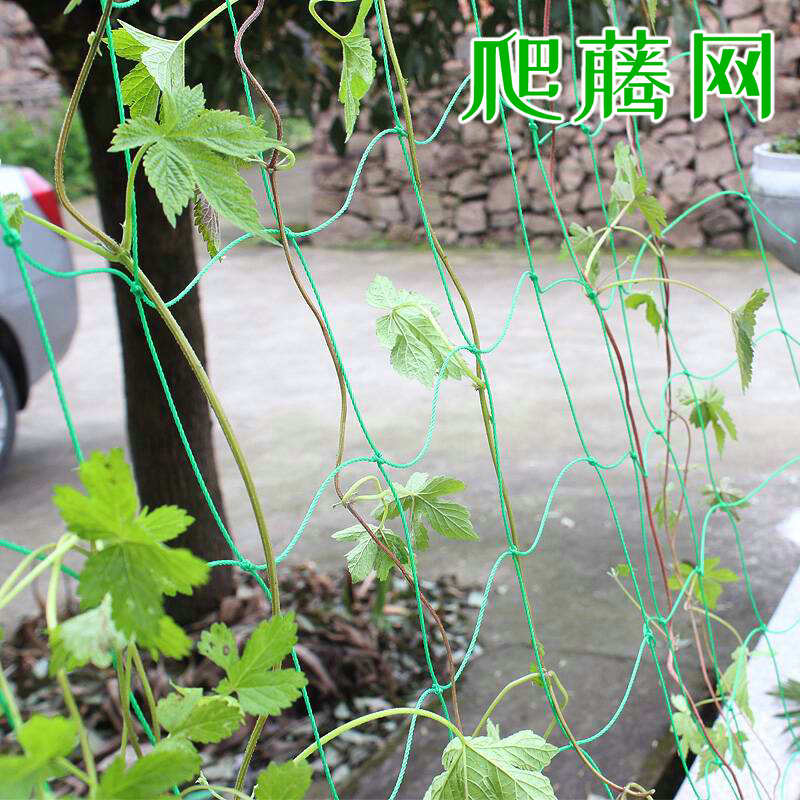 Home Gardening Net Cucumber Climbing Plant Climbing Vine Web Reinforcement of nylon Gardening Supplies Vines Mans Flowers Climbing