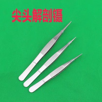 Stainless Steel Tweezers Straight Thin Pointed Anatomical Tweezers Repair Tweezers 12 5cm-16cm