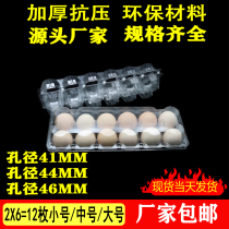 2 rows of plastic egg tray Disposable egg box transparent 12 medium chai egg tray Green shell egg tray