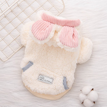 Autumn and Winter Dog Cotton Clothes Teddy Beauty Beauty VIP Chenery Yorkshi Cat Clothes Heat Warm