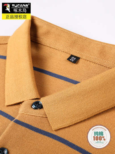 Woodpecker All-Cotton Lapel Men's Long-Sleeved T-Shirt 2025 Spring New Striped Business Casual Breathable Polo Shirt