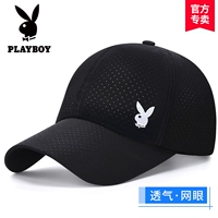 Стиль 15 л кроличьего голова.