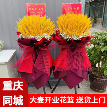 Chongqing flowers barley opening flower basket Balloon Tripod Main City Center of Tongcheng Express Qiao relocating event