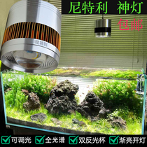 Nitley LED Nitli Lamp Barrel Lamp Barrel Lamp Full Spectrum Straw Cylinder Light Bracket Water Straw Lamp 