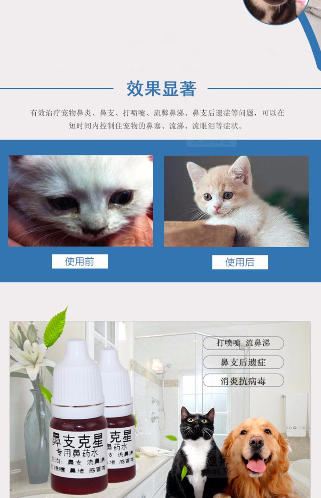 Mũi mèo nhỏ mũi hắt hơi chảy nước mũi nghẹt mũi nghẹt mũi nghẹt mũi. - Cat / Dog Health bổ sung sữa cho mèo bầu