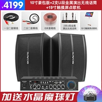 Металлический беспроводной микрофон, караоке, 10 дюймов, 2 шт, 19 дюймов