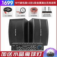 Металлический беспроводной микрофон, 10 дюймов, 2 шт