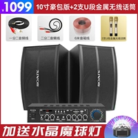 Металлический беспроводной микрофон, 10 дюймов, 2 шт