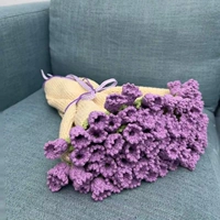Deep Purple + Beige Lily of the Valley Carpet [Package Package] Подарки