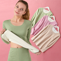 Autumn Winter New Traceless Pure Cotton Underwear Woman Big Code Long Sleeve Bottom Cotton Sweater Single Piece Thin inside Warm Jacket