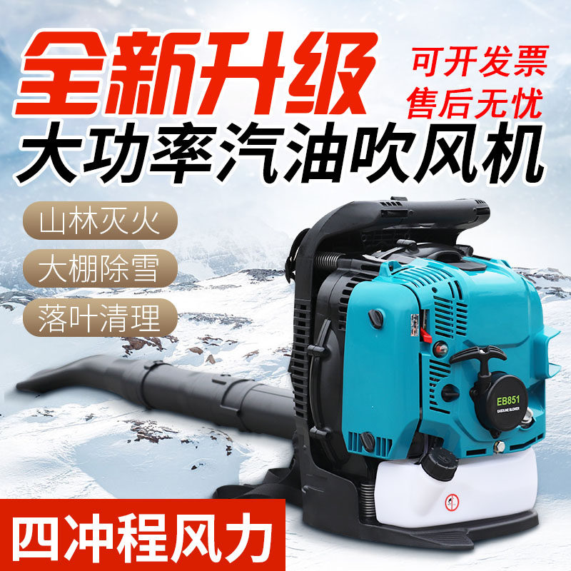 Heavy Duty Petrol Dryer Greenhouse Blow Snow Machine Big Work Site With Wind Fire Extinguisher Rate Deciduous Green Blown Dish