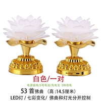 Классический 53 белый свет (одна пара) -n59