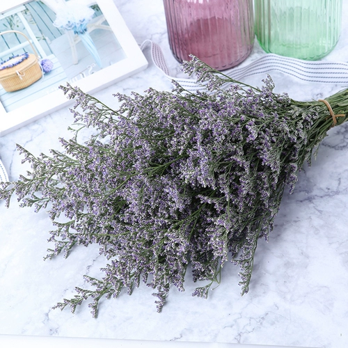 Сухой любитель цветов трава естественный цветок