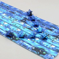 600 опекунов под звездным небом