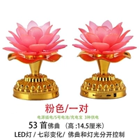 Классическая 53 розовая лампа (одна пара) -t68