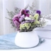 Vân Nam khô hoa hỗn hợp bó hoa với phòng bình sống trang trí nội thất trang trí thiết lập hoa thật tươi nhỏ đầy sao. 