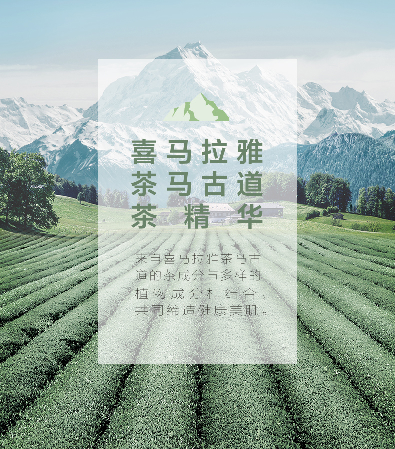 Tự nhiên Hall Tea Horse Road Nourishing Glory Mask 5 Pieces Trà đen Olive Công suất lớn Tinh chất Cửa hàng chính hãng - Mặt nạ mặt nạ ngủ