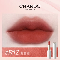 R12 Дикие помидоры