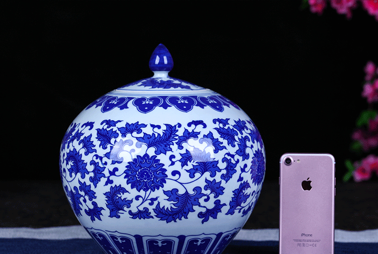 Jingdezhen ceramic tea pot large blue and white porcelain tea cylinder full manual sealing up POTS moistureproof tea set