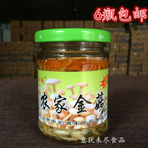 Van Daunt Farmhouse Golden Mushrooms 170g6 Bottle Oil Braised Golden Needle Mushrooms Ready-to-eat Small Vegetable Fungus Mushrooms With Cool Mix Cold Dish 