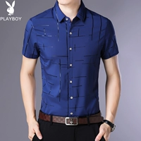 202 Тибетская голубая черная золотая сетка