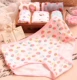 4 bộ đồ lót nữ cao cấp cotton của phụ nữ