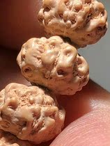 1 0 1 1 High-density five-petal original pile honeycomb grimace Panlong King Kong Bodhi 108 6 Beads Rosary